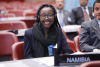 Namibia Launches Comprehensive Cybersecurity Strategy