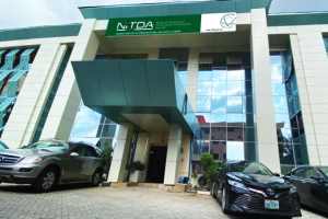 Nigeria: NITDA Unveils Plans for AI, IoT, and Blockchain Research Centres