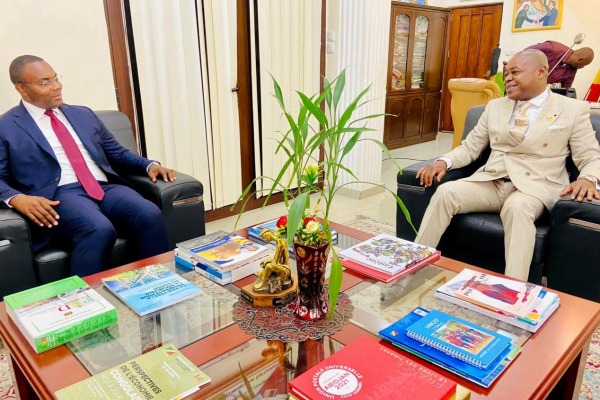 Congo and Equatorial Guinea discuss digital cooperation