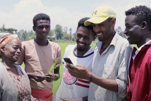 L’Ethiopie s’allie à Digital Green pour numériser son secteur agricole