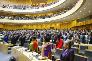 Report Unveils Top 5 Digitally Advanced African Parliaments