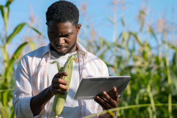 Le lancement officiel du Conseil africain de l’IA annoncé pour avril