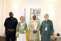 Djibouti Discusses Digital Cooperation with the European Union                                          