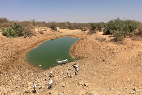 Africa: Researchers to develop digital forecasting tools for infectious disease outbreaks