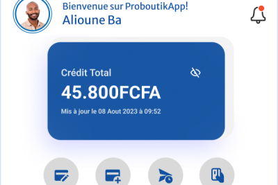 Senegal: Proboutik Digitizes Accounting for Local Merchants