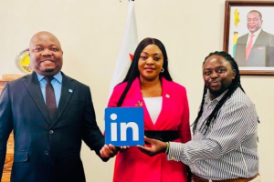 Apprentissage numérique : le Zimbabwe se rapproche de LinkedIn