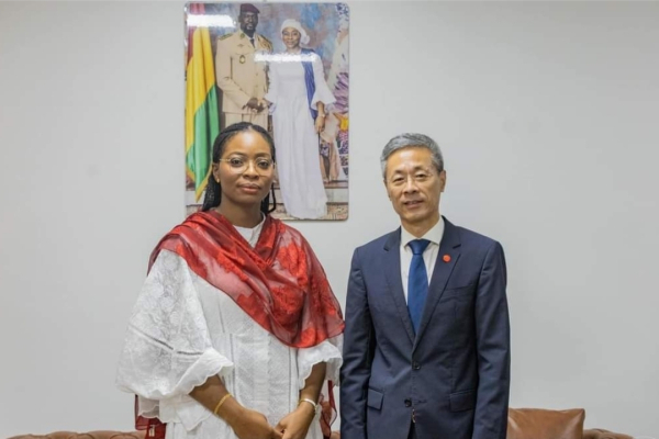 Guinea Seeks Digital Collaboration with China