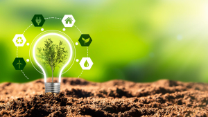 Green Innovation Hub Opens Applications for Just Transition Program