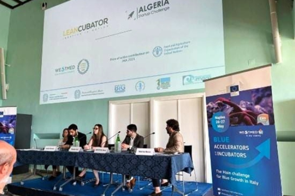 Algeria: Leancubator Backs Projects in Blue, Green, Foodtech, and Fintech Sectors