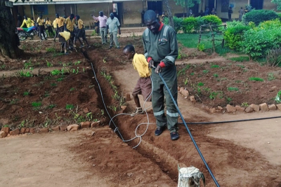 20 millions d&#039;Africains bientôt connectés à Internet grâce à une coopération entre Microsoft et Liquid Intelligent