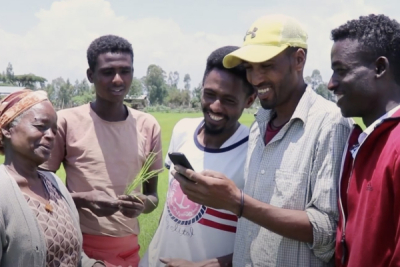 Ethiopia Partners with U.S. Non-Profit to Digitize Its Agricultural Sector
