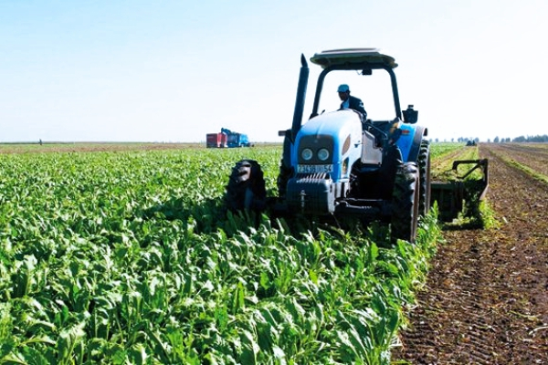 Le Sénégal lance un projet de numérisation des subventions agricoles avec l’IFC